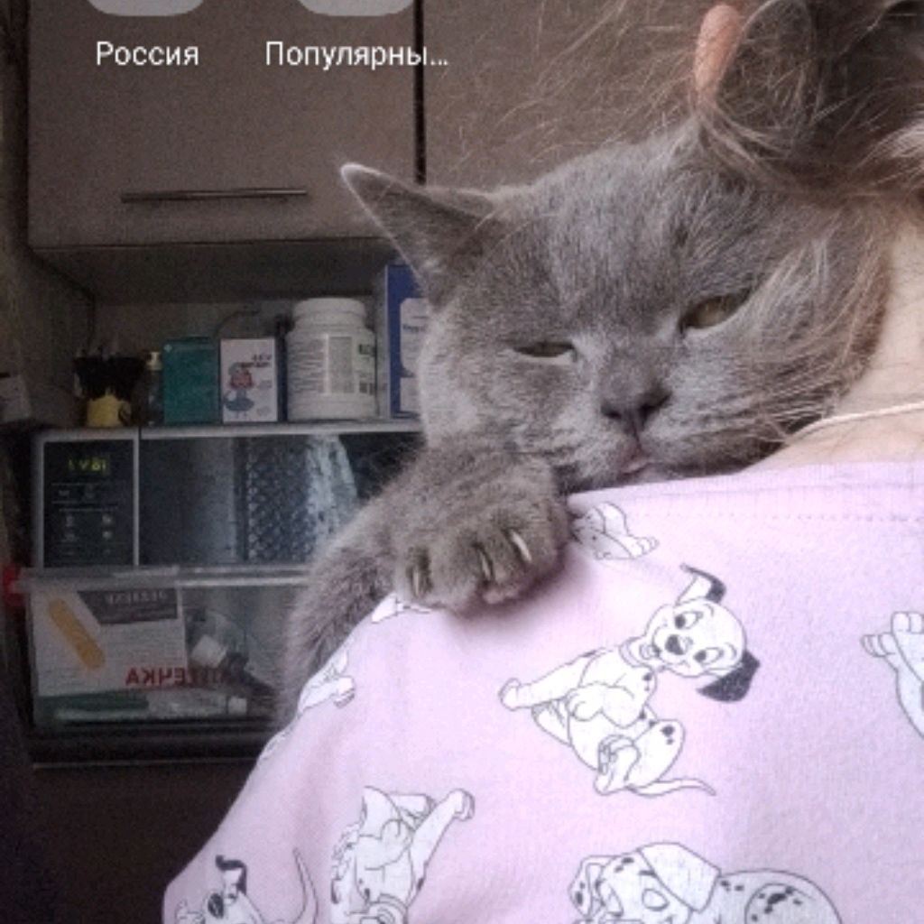 Аватар автора