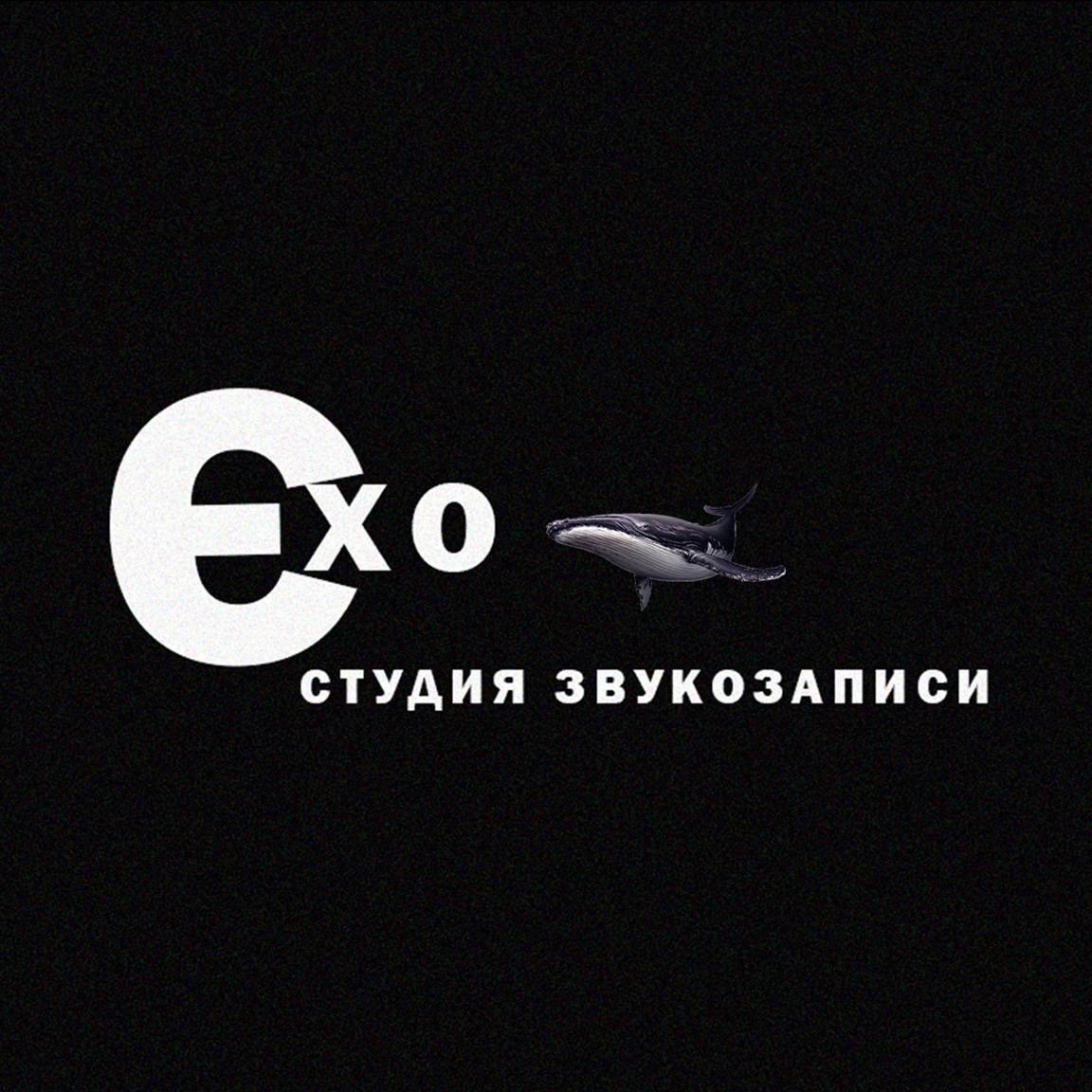 Иконка канала Студия Эхо