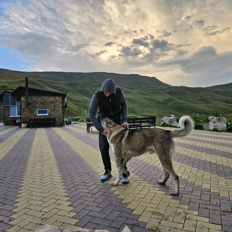 Аватар автора