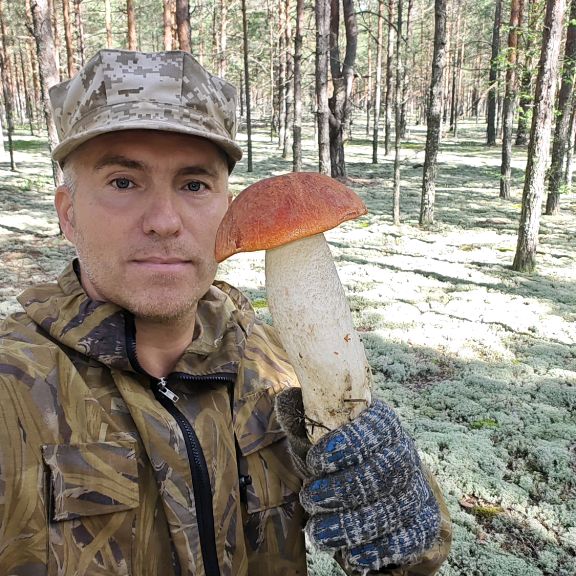 Аватар автора