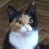 Иконка канала Проще простого!