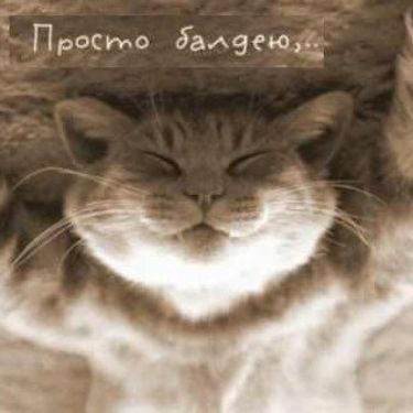 Аватар автора