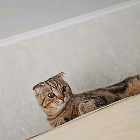 Иконка канала Мыяука777