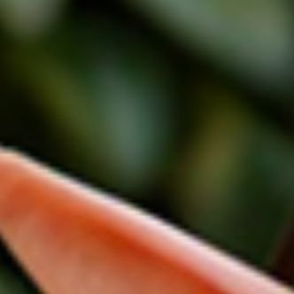 Иконка канала briancarter