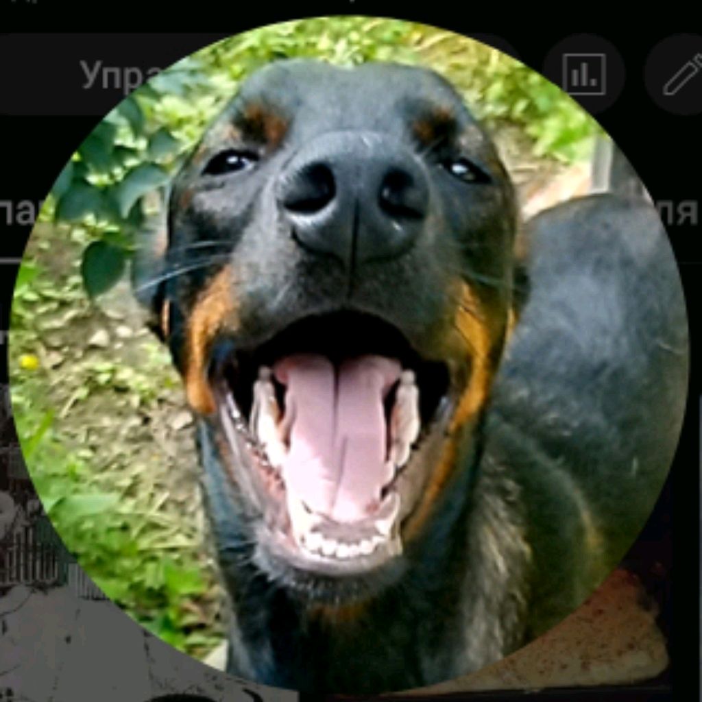 Аватар автора