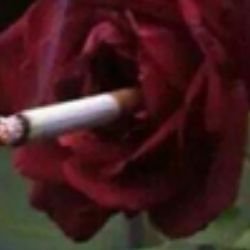 Иконка канала Брагина