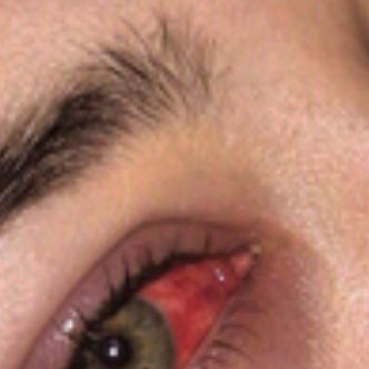 Иконка канала Shane