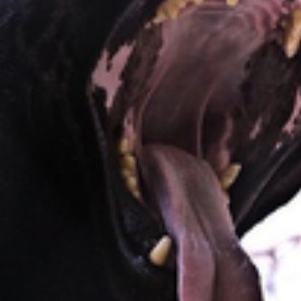 Иконка канала Margaret