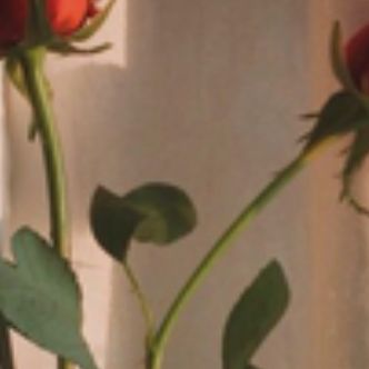 Иконка канала newman