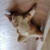 Иконка канала izo_1da