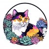 Иконка канала Sweet Succulents 🩵 Суккуленты