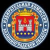 Иконка канала Избирком_39