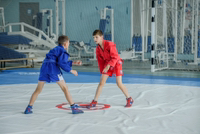 Иконка канала Гриднев Иван Самбо