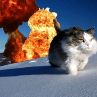 Иконка канала ~Парацетамол❄️°•