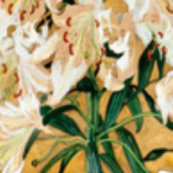 Иконка канала Vittorio89