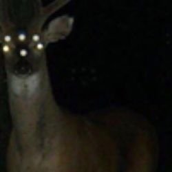 Иконка канала Galloway