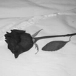 Иконка канала eremeuvarov