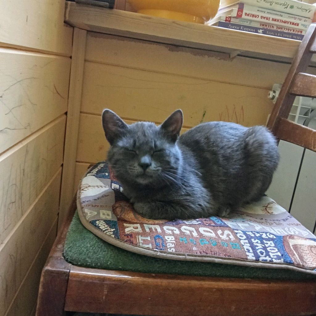 Аватар автора