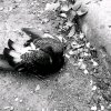 Иконка канала Саша Курлов