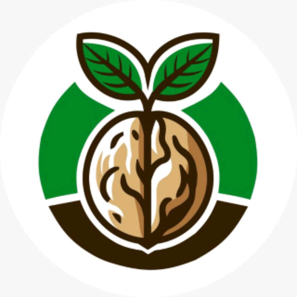 Иконка канала Organic Power