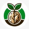 Иконка канала Organic Power
