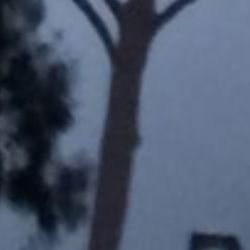 Иконка канала громова4