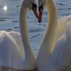 Иконка канала Giorgia-Pertini