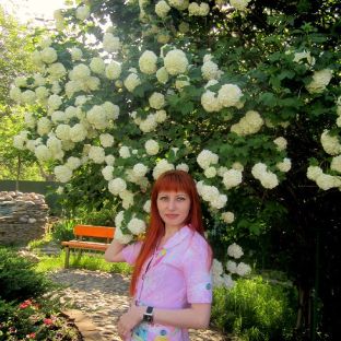 Аватар автора