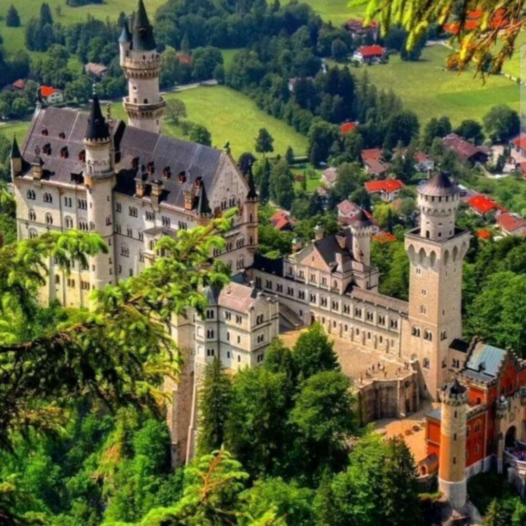 Иконка канала Discovery Destination