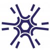 Иконка канала NeuroLeader