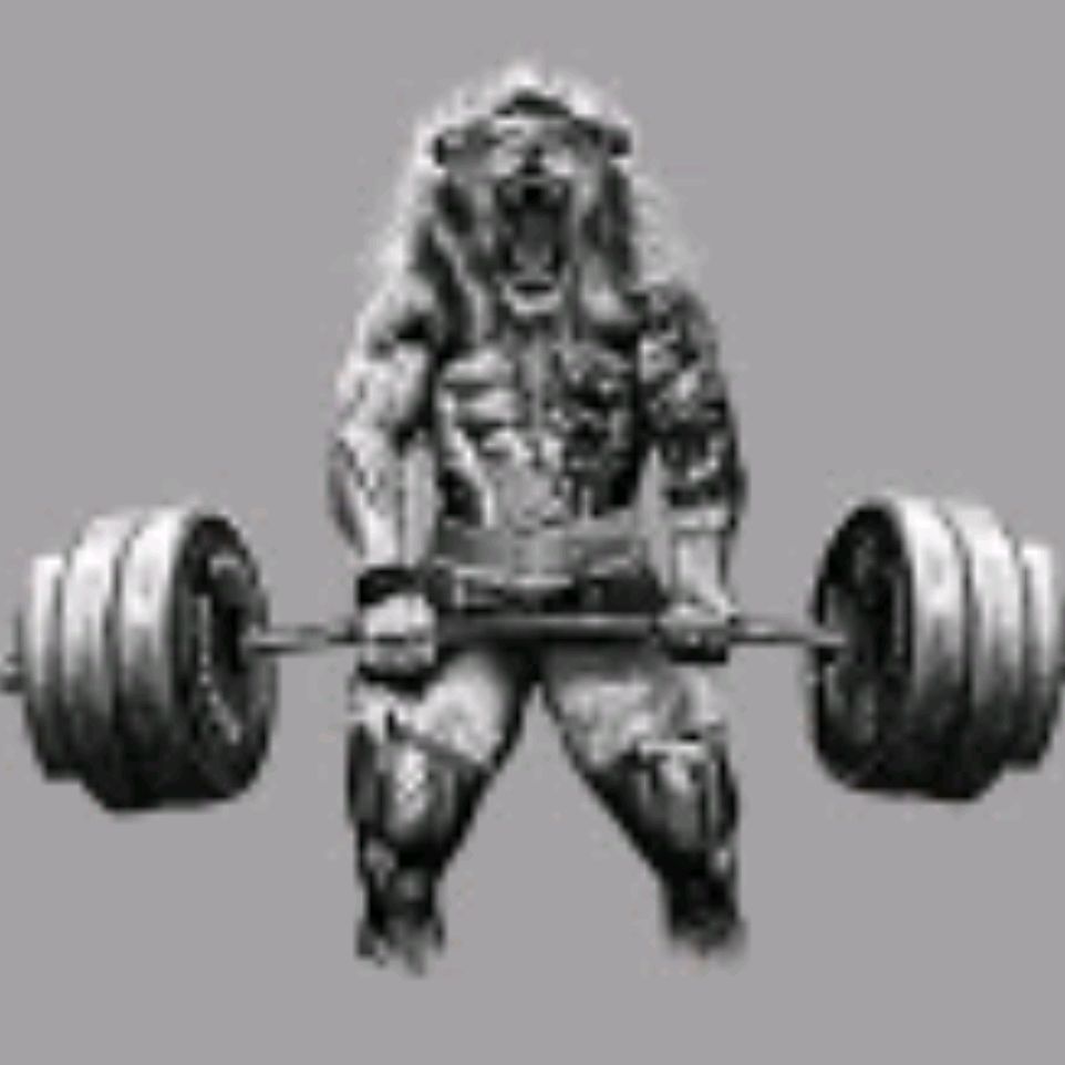 Иконка канала Пауэрлифтинг Спорт Настоящих Чемпионов