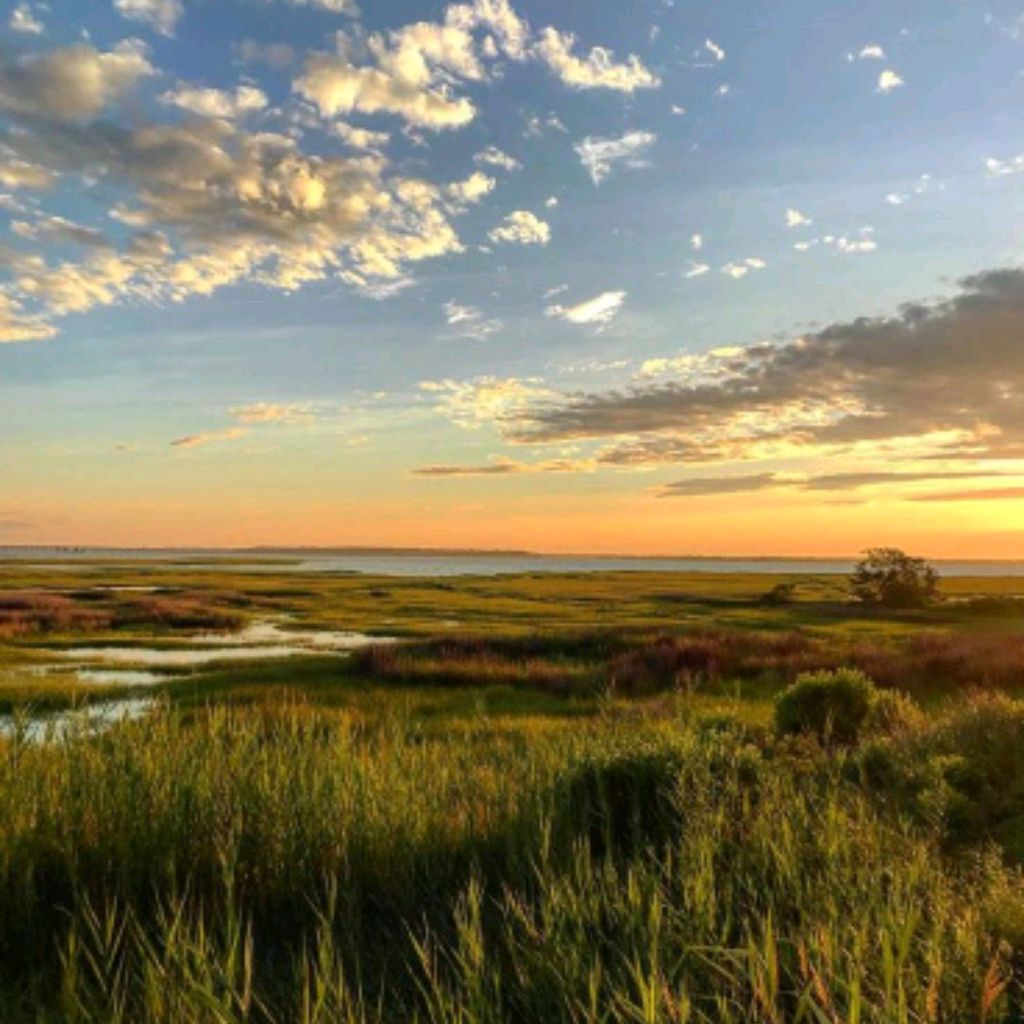 Иконка канала В объятиях природы🌱