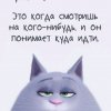 Иконка канала Опачки Томочка