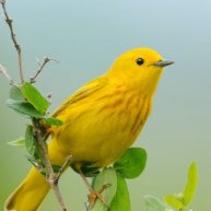 Иконка канала channel64986522 Светлана