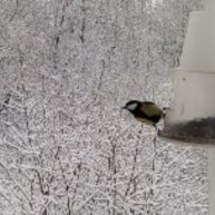 Иконка канала Андрей Алексеевич Крестовский