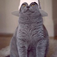 Иконка канала Блогеры без опыта