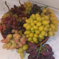 Иконка канала Виноград Дона