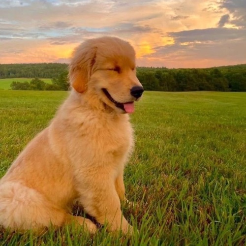 Иконка канала Иванова Надежда