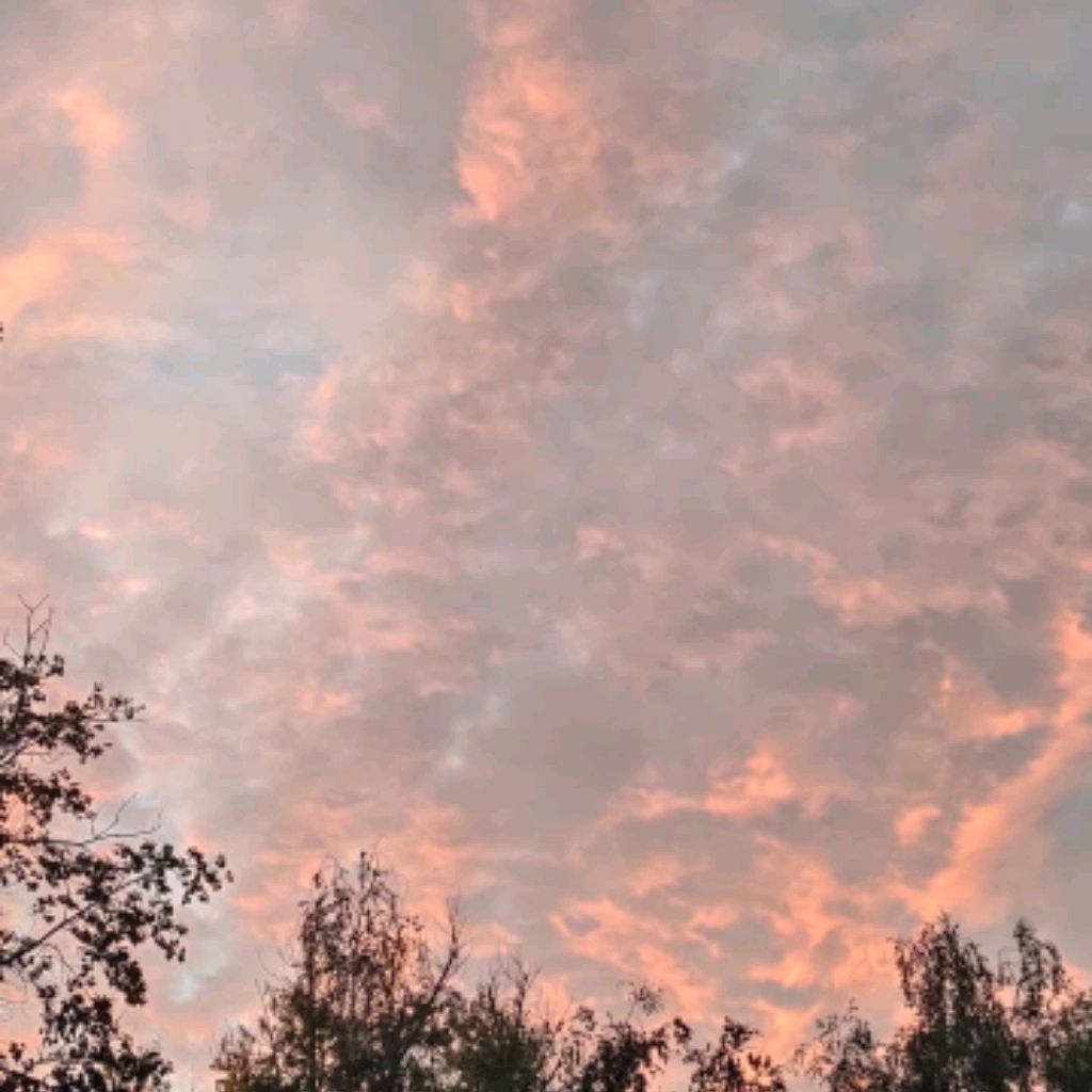 Иконка канала Lionstream