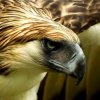 Иконка канала channel67912269