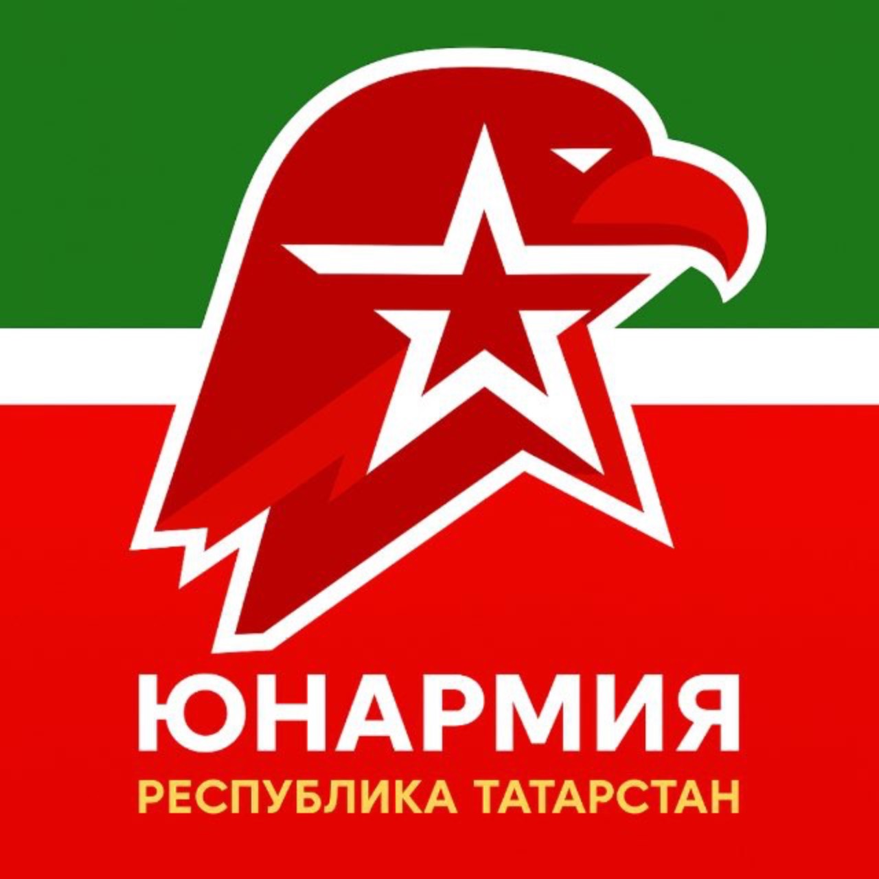 Иконка канала ЮНАРМИЯ | ТАТАРСТАН