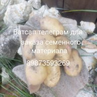 Иконка канала Маришкина картошка