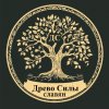 Иконка канала Древо Силы Славян