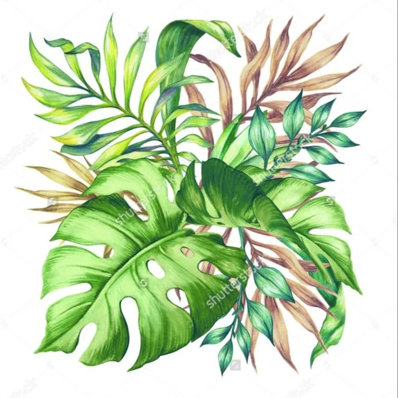 Иконка канала 🌿 Зелёное счастье 🌿