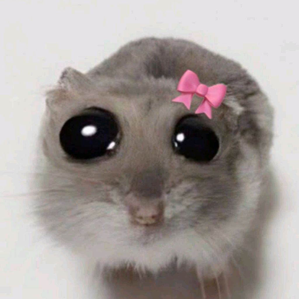 Иконка канала 🦊🐼Like_Slyim🦊🐼