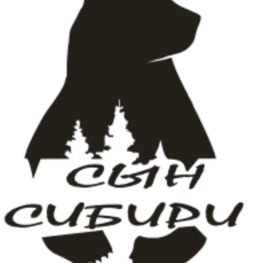 Иконка канала Сын Сибири