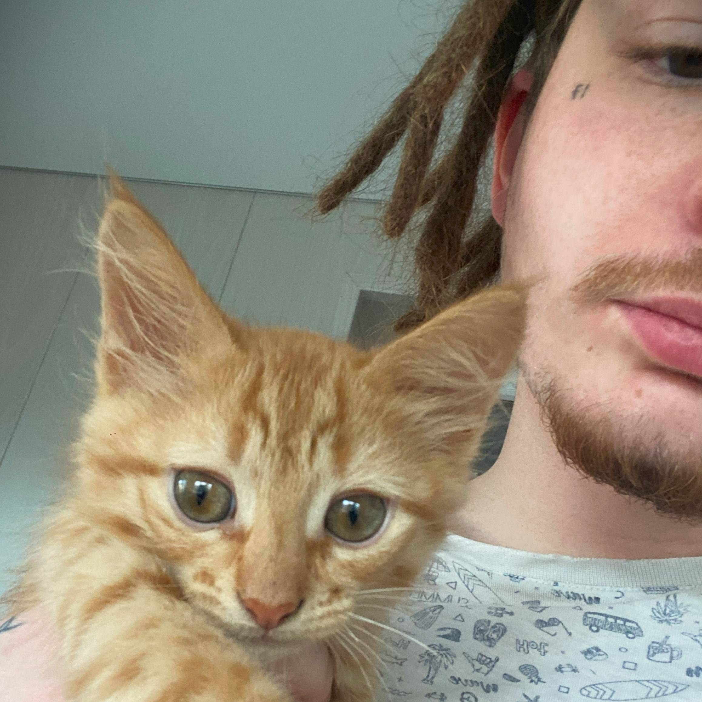 Иконка канала НЕТУSИЛ