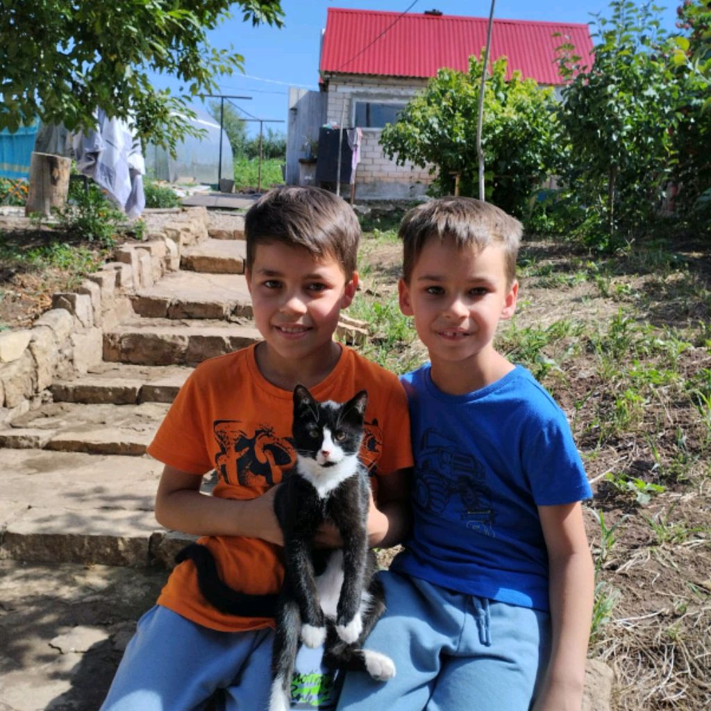 Аватар автора