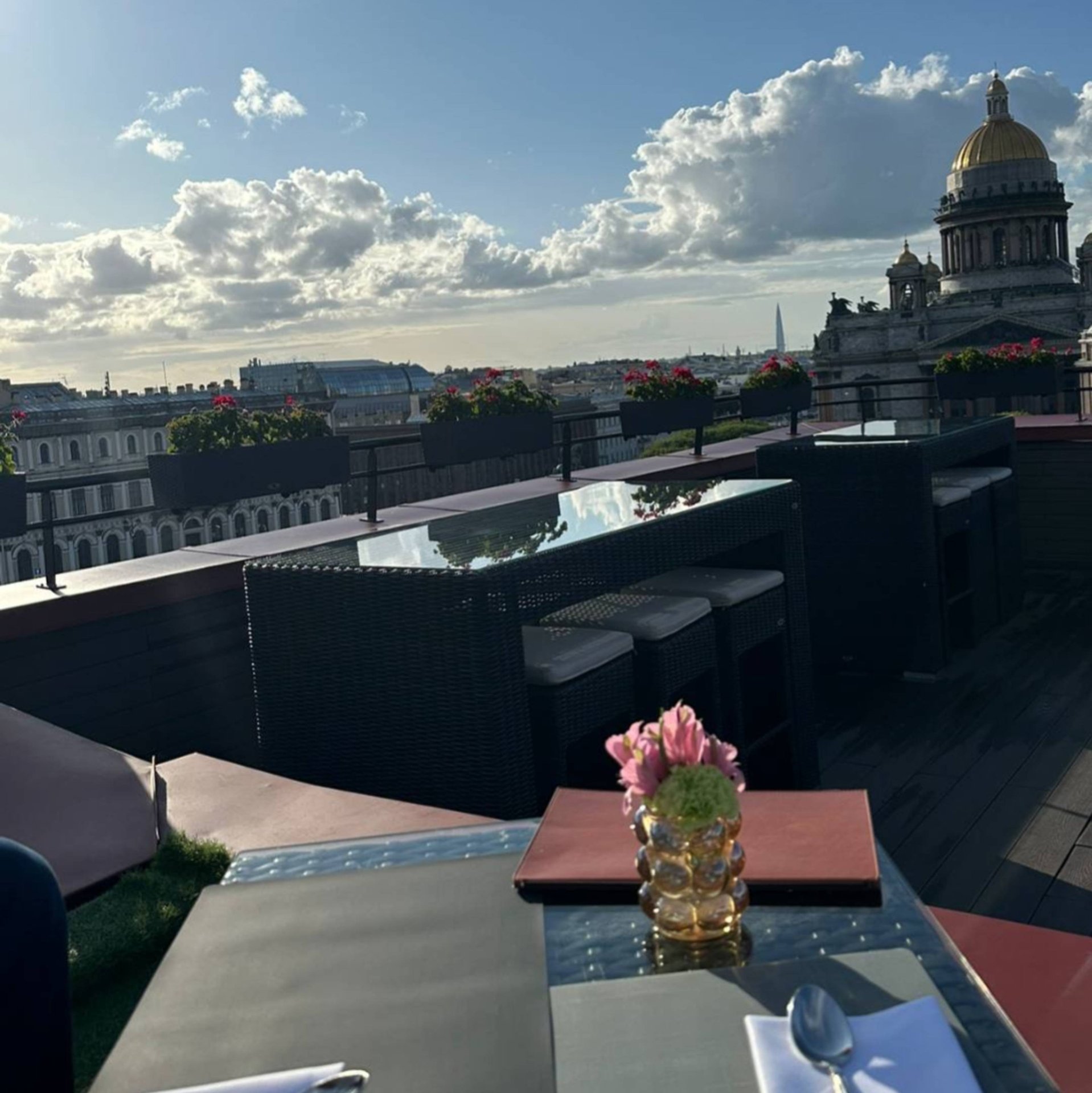 Мультфильмы