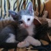 Иконка канала События, развлечения и прочее